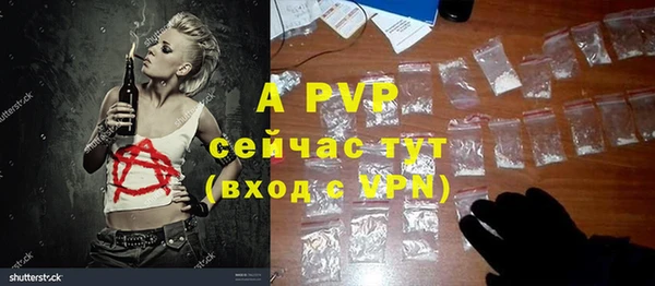 гидра Новодвинск